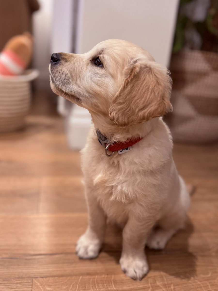 RICHIE FIRTH tweet media