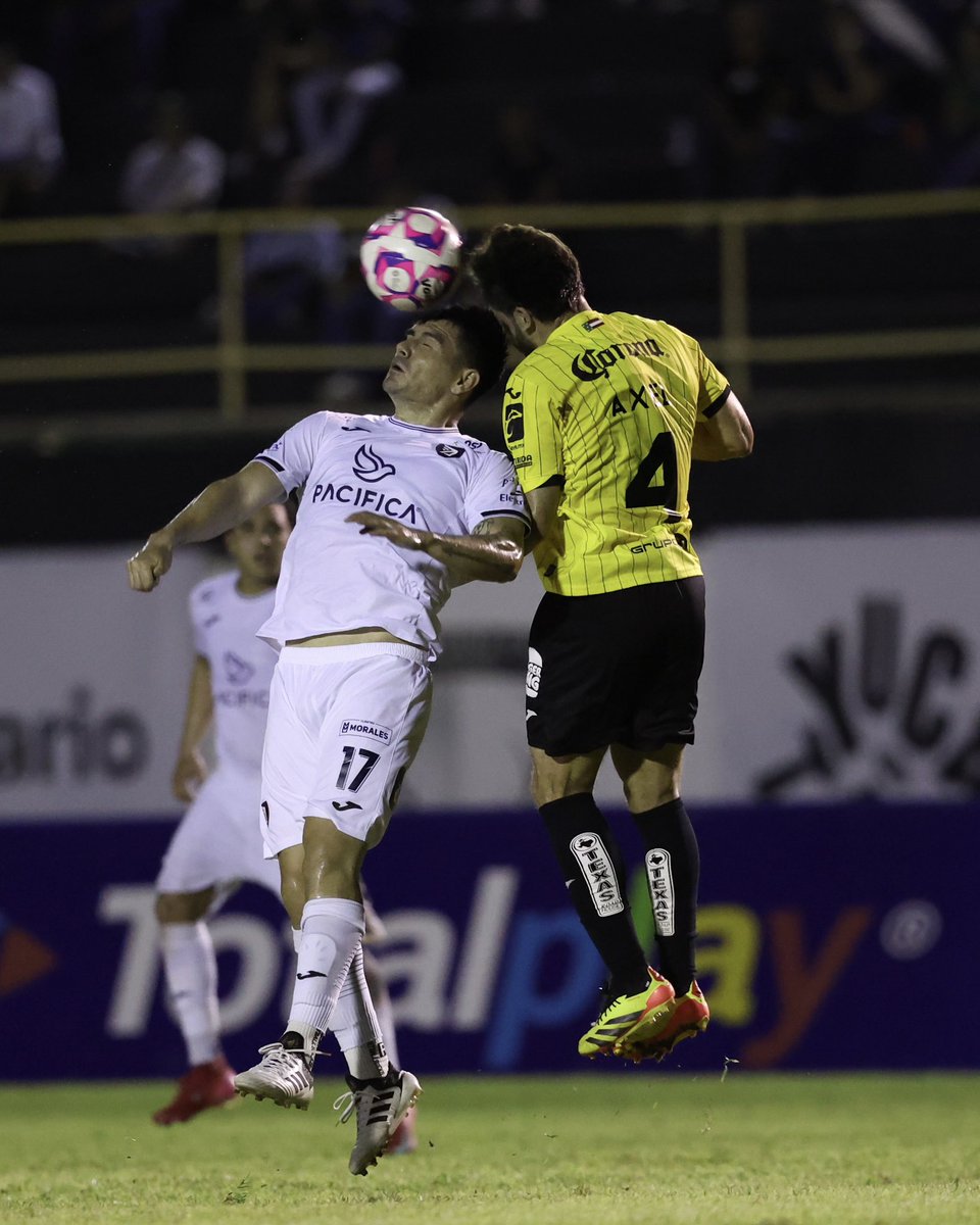 Liga BBVA Expansión MX tweet media