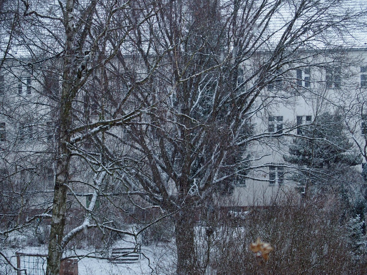 Muschelfinderin tweet media