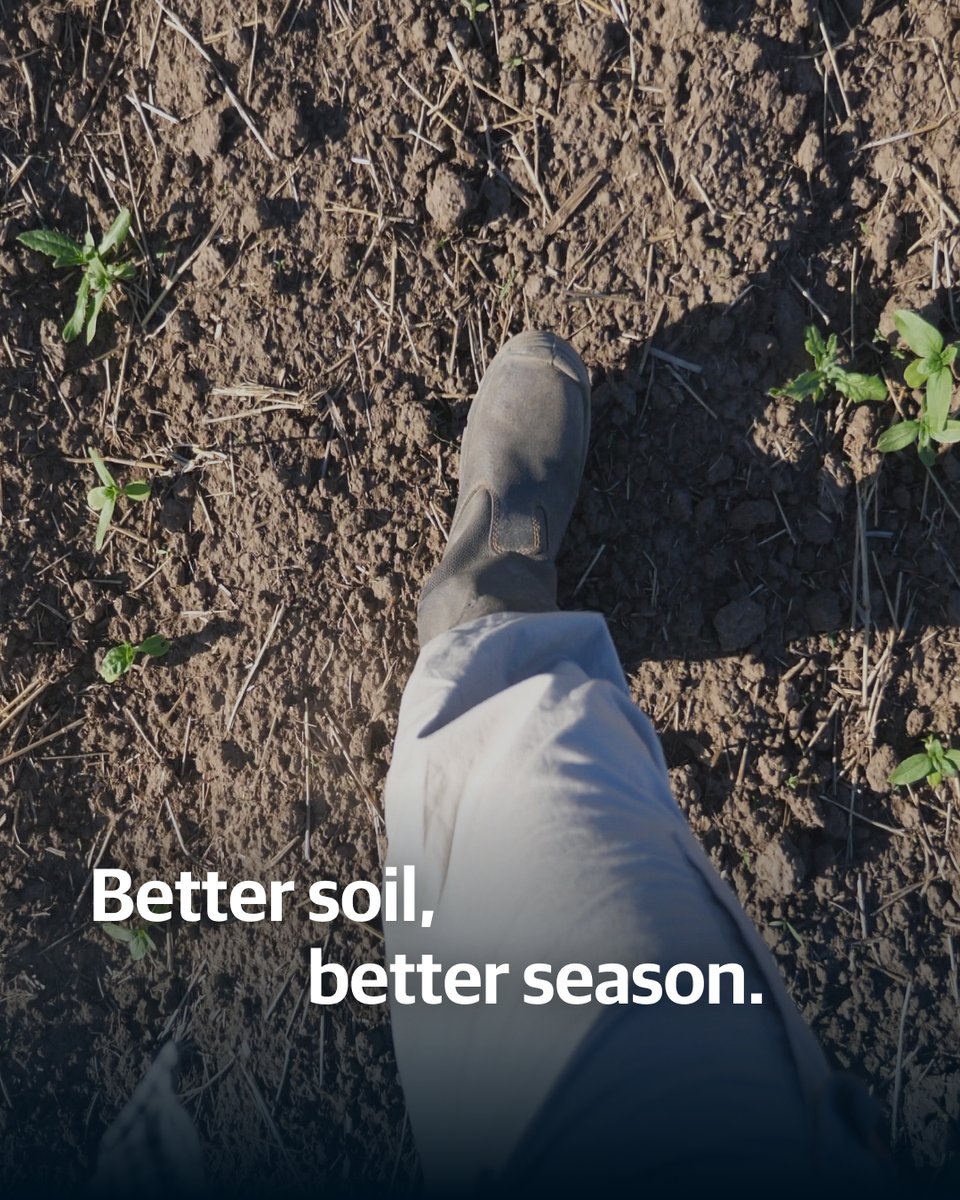 Getting your fields ready for spring?

Good soil prep now means bigger yields later.

See how our soil preparation solutions can set you up for your best year yet: ow.ly/2JGp50XKr5f