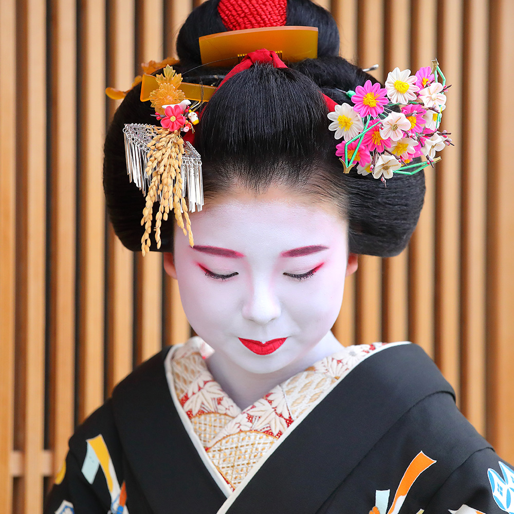 yasuhiroimamiya's tweet photo. 京都　宮川町　舞妓ちゃん
「 実るほどに頭を垂れる稲穂かな 」
京都のお正月���芸舞妓が挿す稲穂のかんざしは
”今年も謙虚に生きていきます” という新年の誓い
　　　
#京都 #正月 https://t.co/0B4jr5rSUl