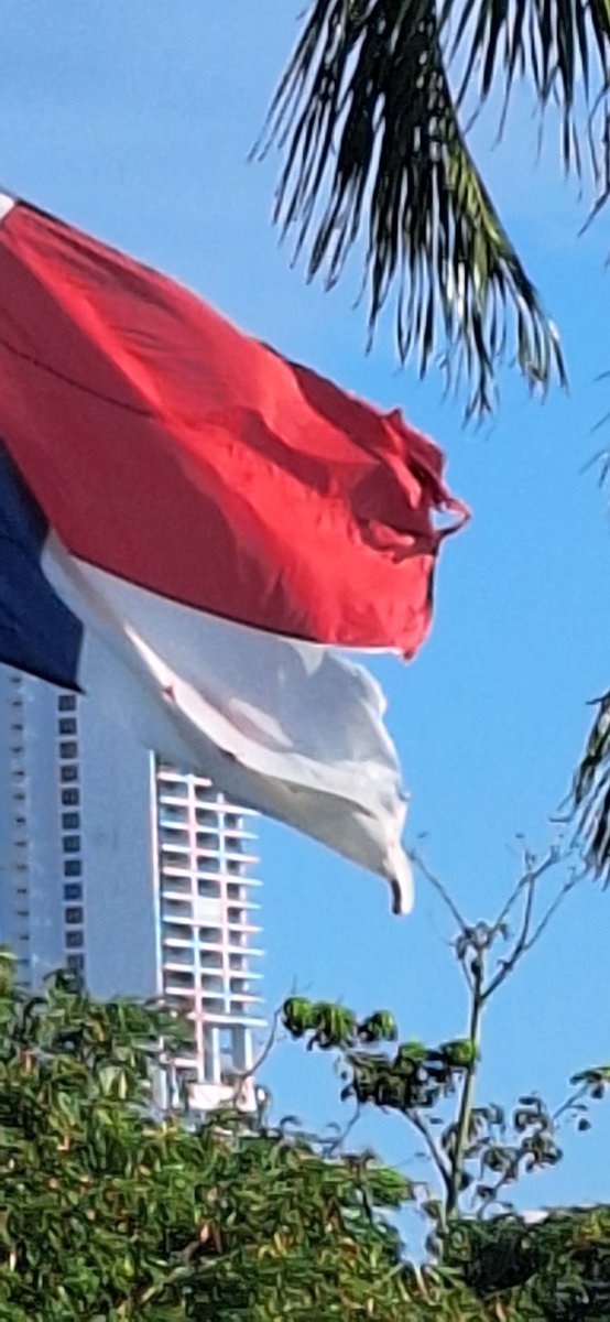 sinisterraja's tweet photo. @Panamaalcaldia favor no dejar que nuestra bandera llegue a semenjante estado en parque cinta costera 3 https://t.co/jEeUJMmpbE