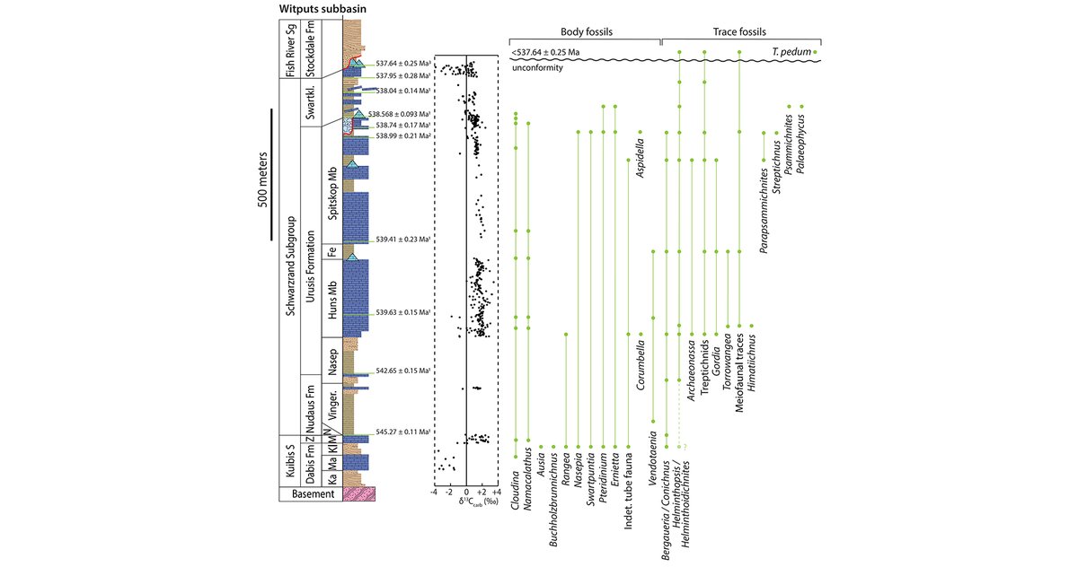 AmJSci's tweet photo. New Paper: A Basin in Transition: Ecological, Environmental, and Tectonic Shifts Across the Ediacaran–Cambrian Boundary in the Nama Group, Kalahari Craton by Nelson et al., Am J Sci 2026; 326:1 https://t.co/HeATvSS1BQ https://t.co/AILTCg0r2o