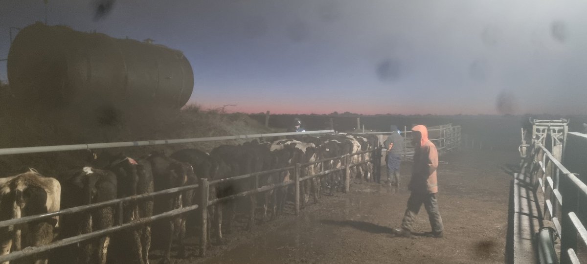 geoff wycherley tweet media