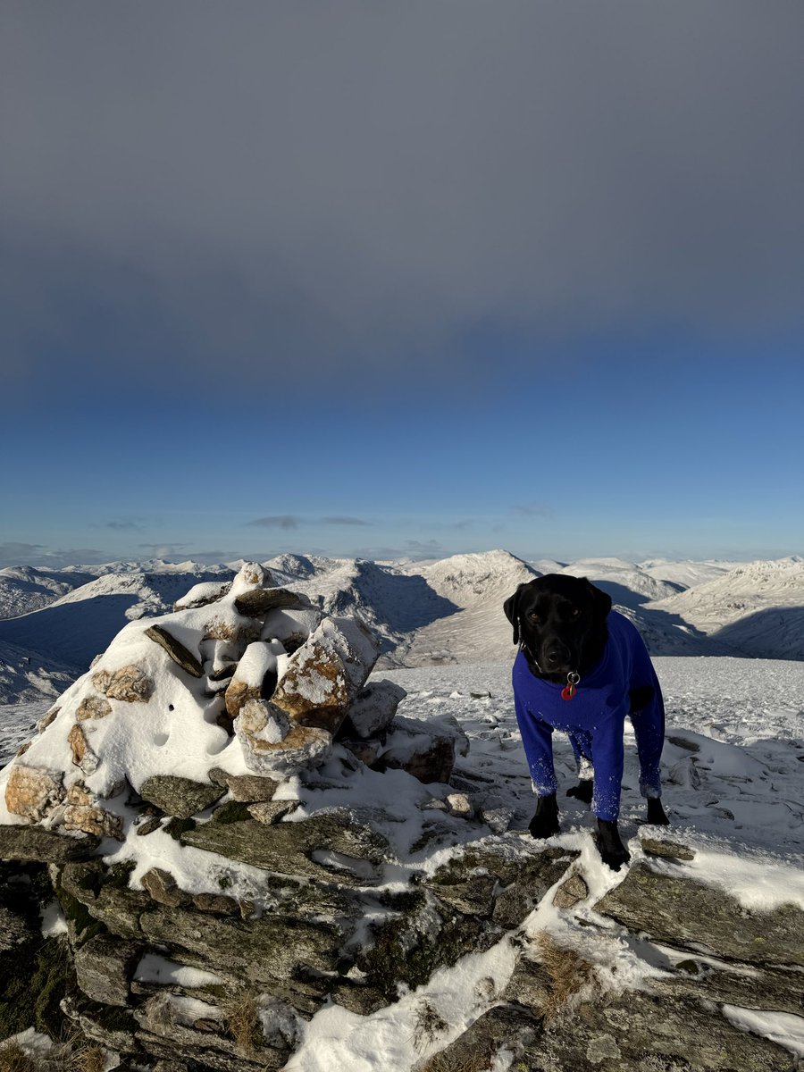 Tom Melvin tweet media