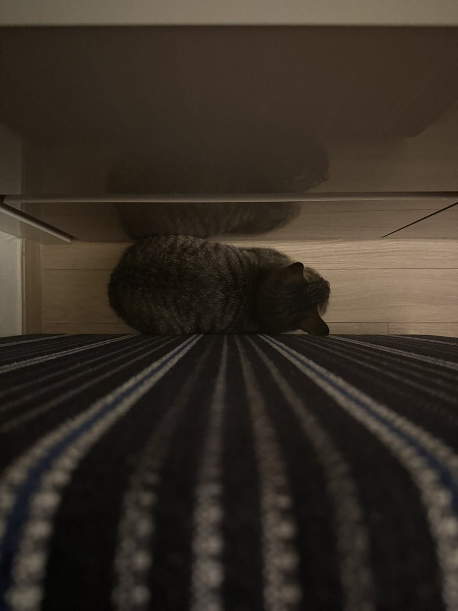 winternugu's tweet image. 덩 어 리