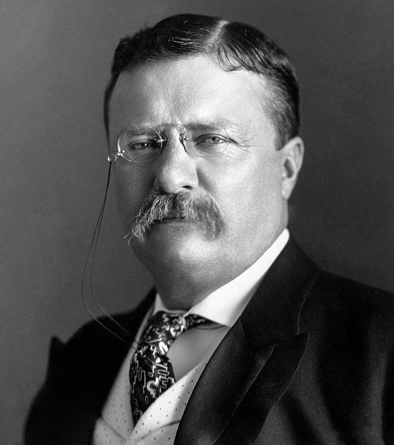 Geiger_Capital's tweet image. A Republican who divided his party, insulted other politicians, loved holding big rallies, survived an assassination attempt, was labeled a racist by his opponents, advocated for tariffs, ignored Congress and added his own corollary to the Monroe Doctrine…

Theodore Roosevelt.