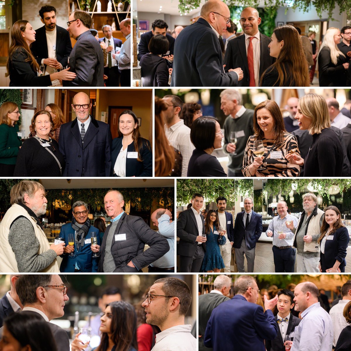 Dr Viorica Chelban tweet media