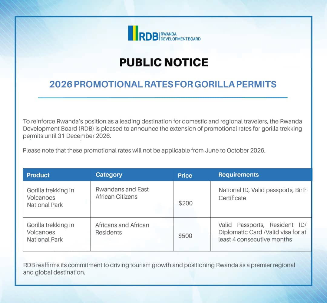 RDBrwanda's tweet photo. PUBLIC NOTICE: 2026 Promotional Rates for Gorilla Permits https://t.co/Up0qE8kdFD