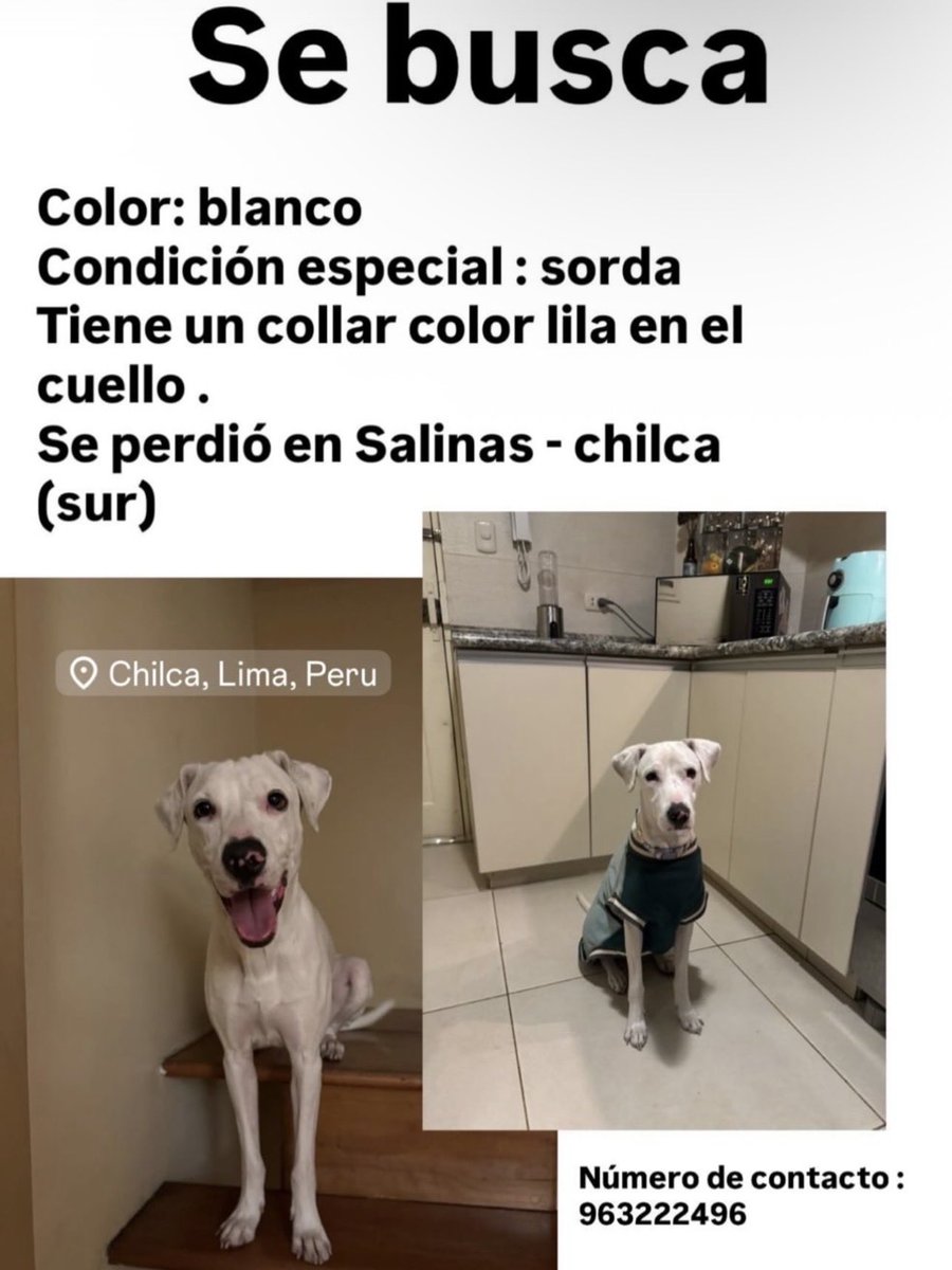 MerceJauregui's tweet photo. Porfavor ayudar a difundir https://t.co/57nKApHo3l