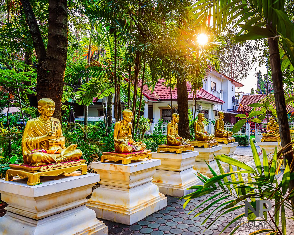 Nikolai Puc tweet media