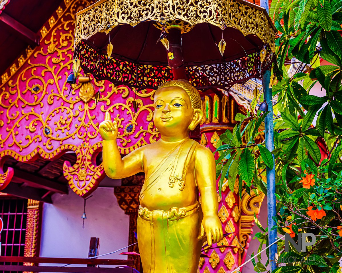 Nikolai Puc tweet media