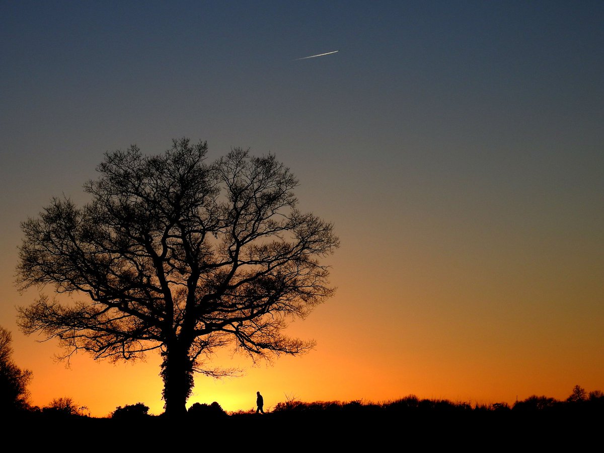 mildthing99's tweet image. High pressure still in charge; another very cold night on the way 
-5°C or lower #SurreyHills 
@StormHour @metoffice @ThePhotoHour #getoutside