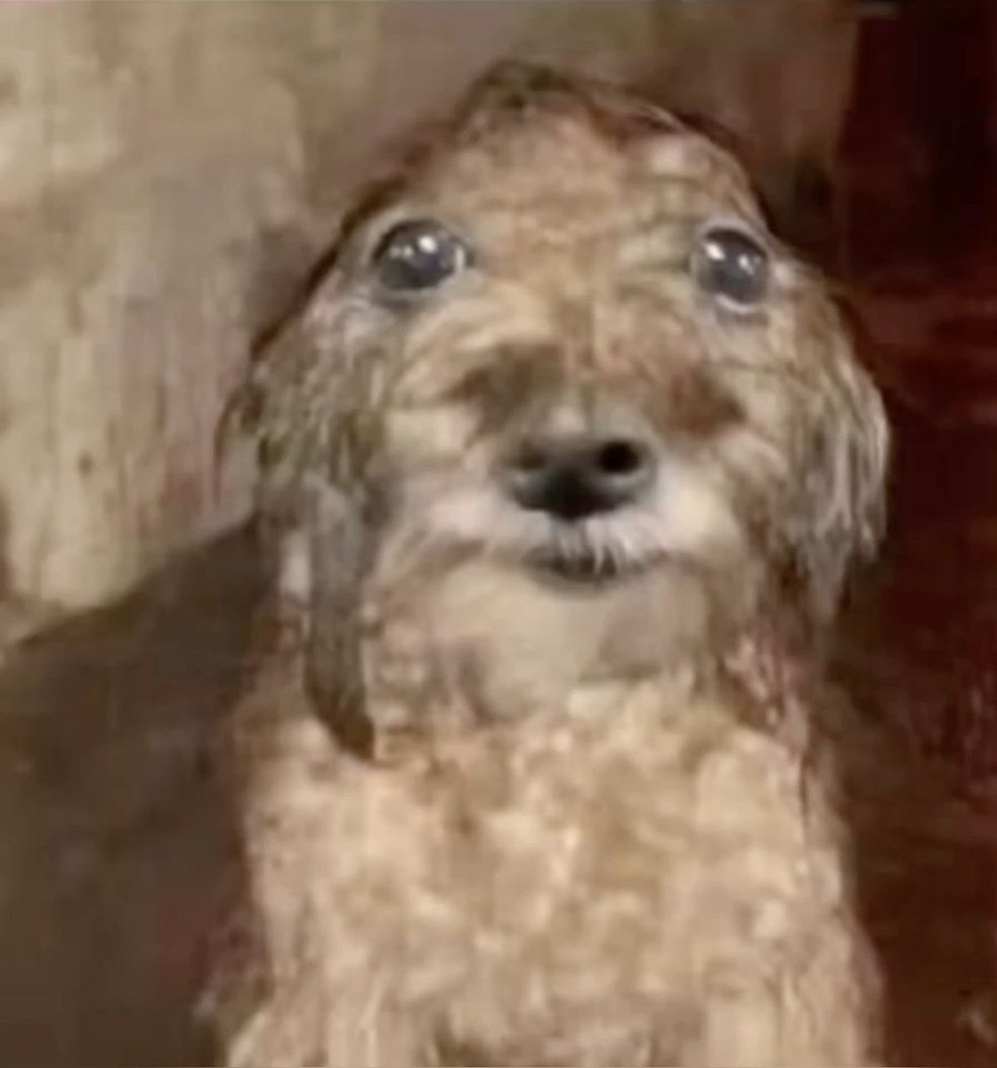 77noli doodles & whatever ! tweet media