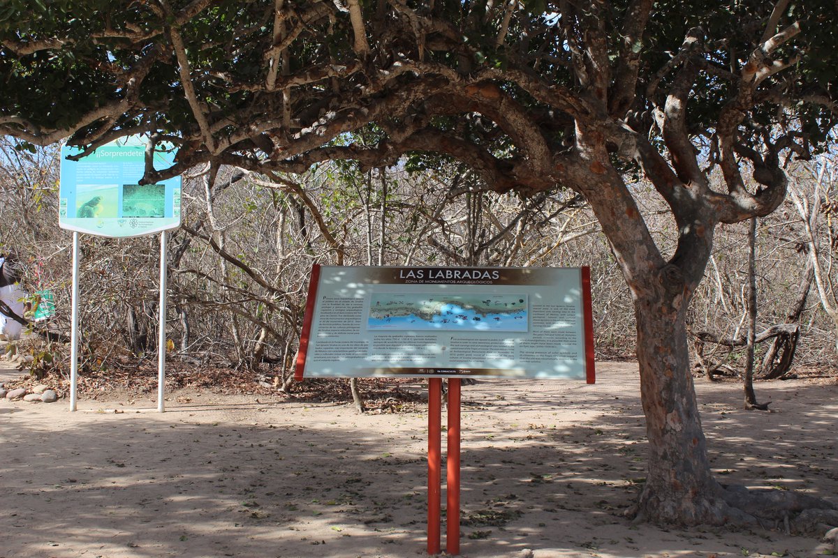 Zona Arqueológica Las Labradas tweet media