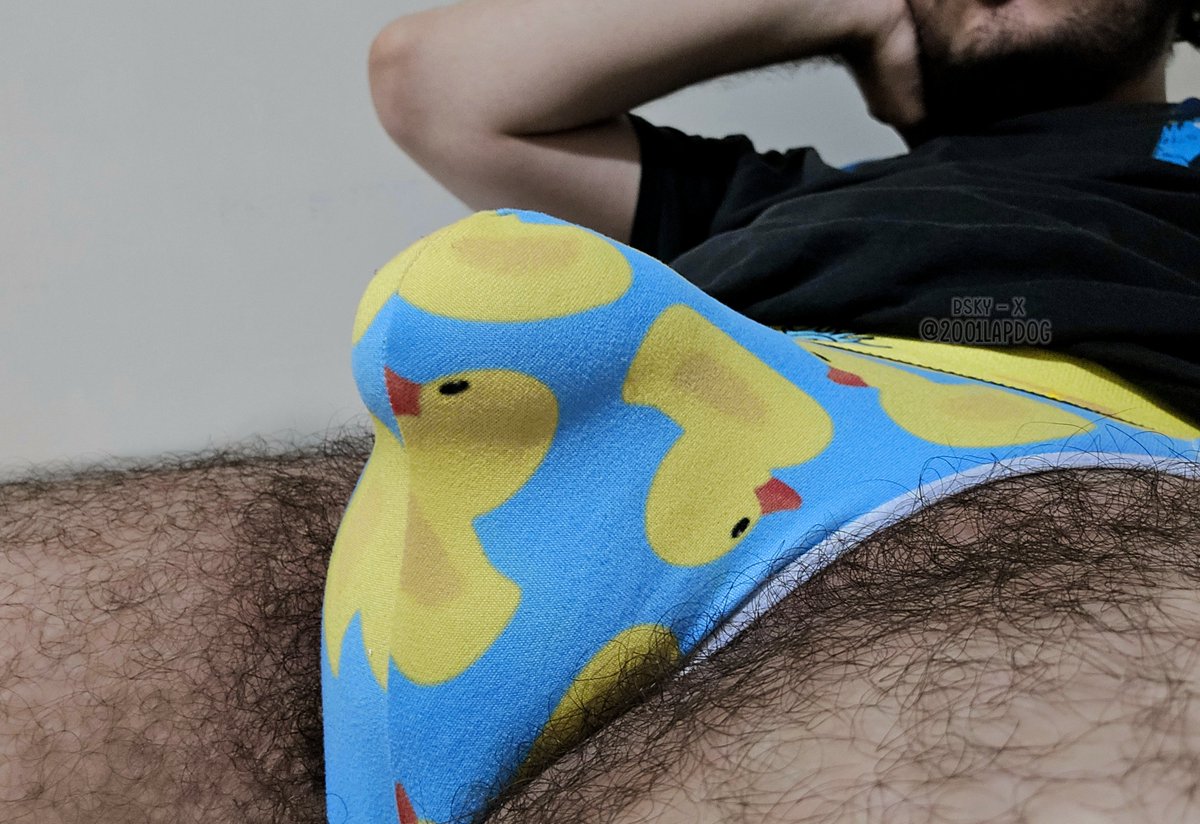 2001LapDog's tweet photo. Soft Jungle 🍌 https://t.co/QLS7nM0GiU