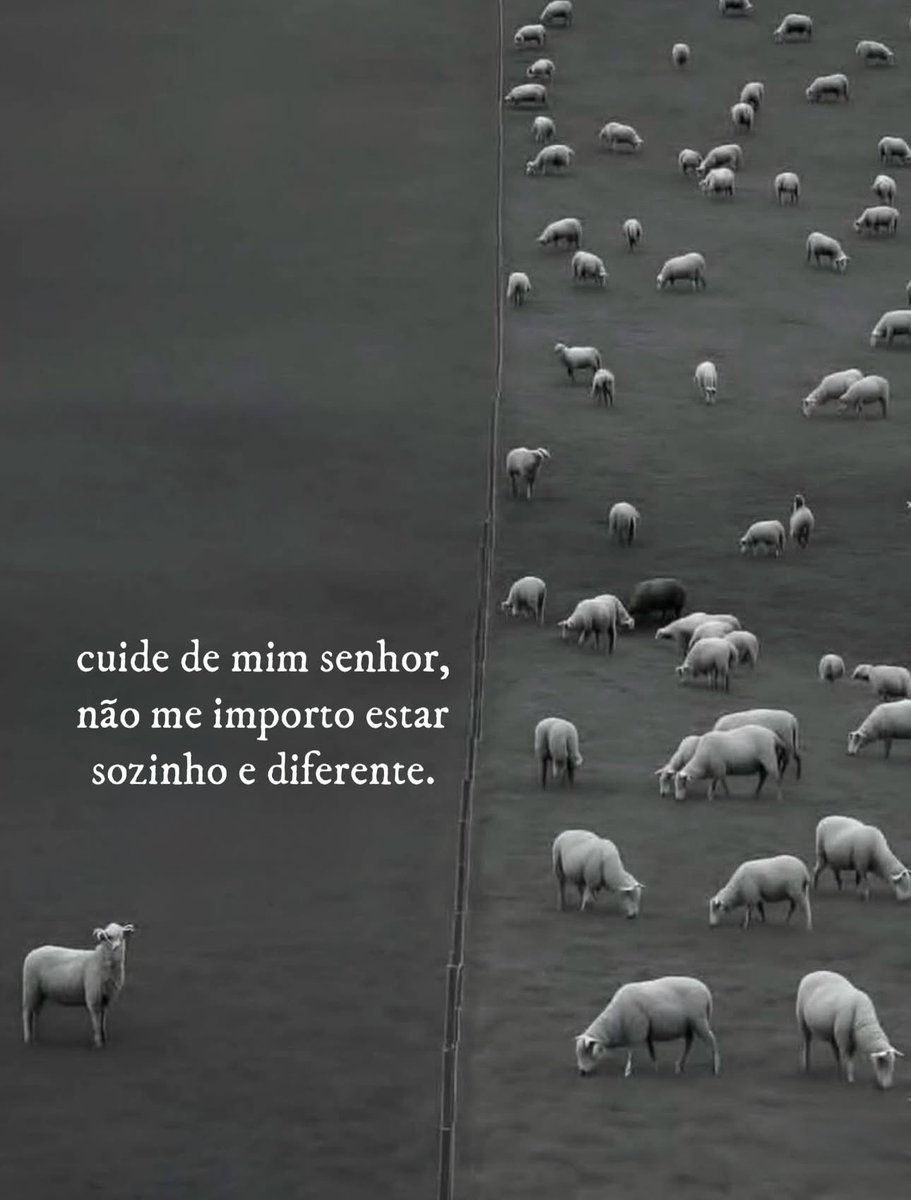 Frases (@umfilosofocitou) on Twitter photo 