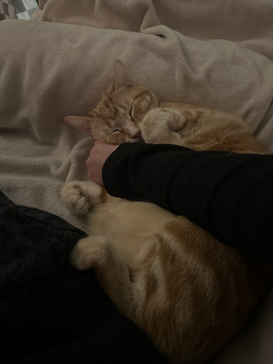 gaston s’est endormi comme ça je peux plus bouger je l’aime trop je t’aime gaston j’ai mal au bras jtm