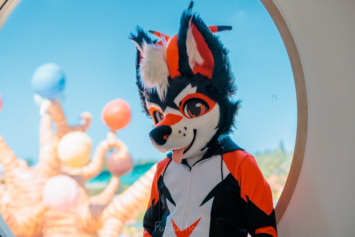 Esky 🐶 🔜 THAITAILS & SIAMPAWS & TACRA & BKB 2026 tweet media