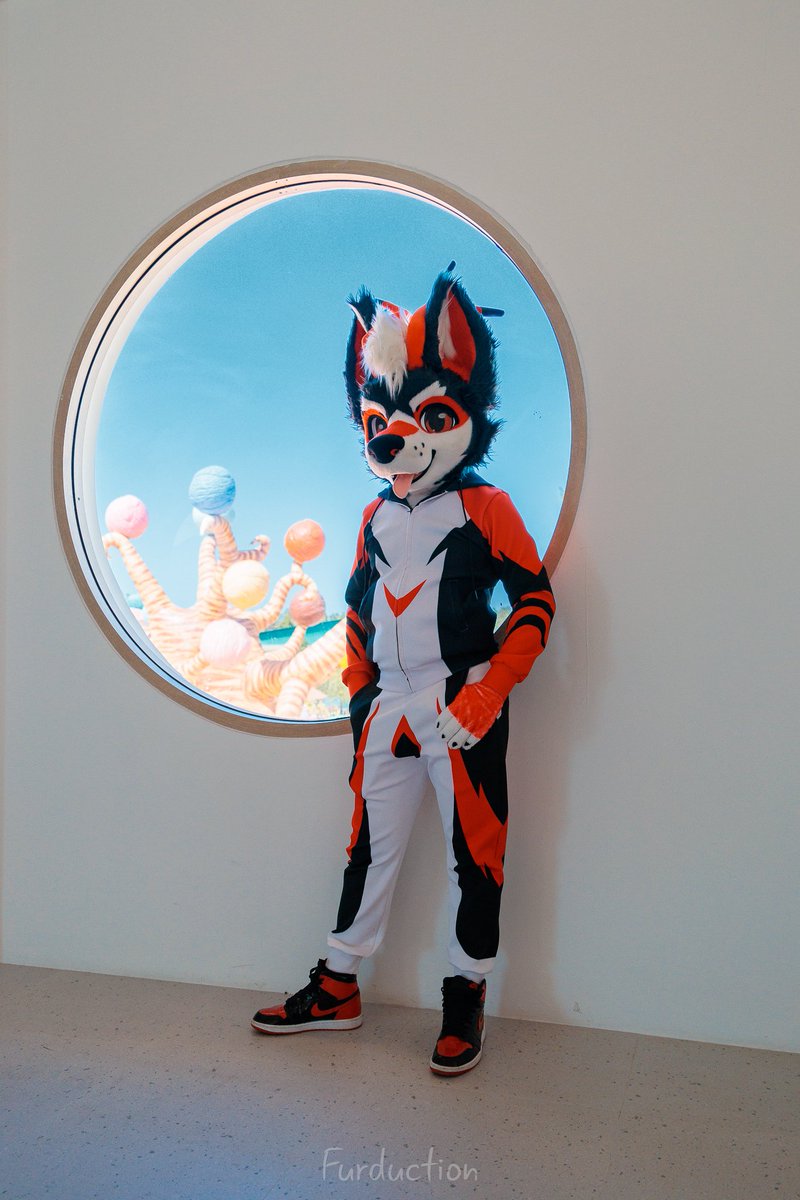 Esky 🐶 🔜 THAITAILS & SIAMPAWS & TACRA & BKB 2026 tweet media