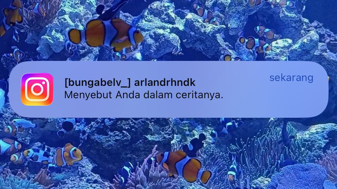 utiscriptz's tweet photo. 358. https://t.co/PMMvV50mDc