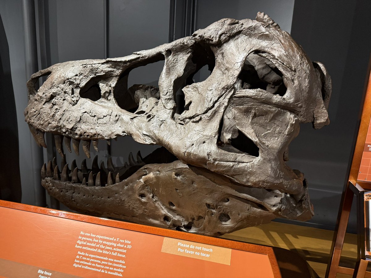 Vote trifecta for summit!