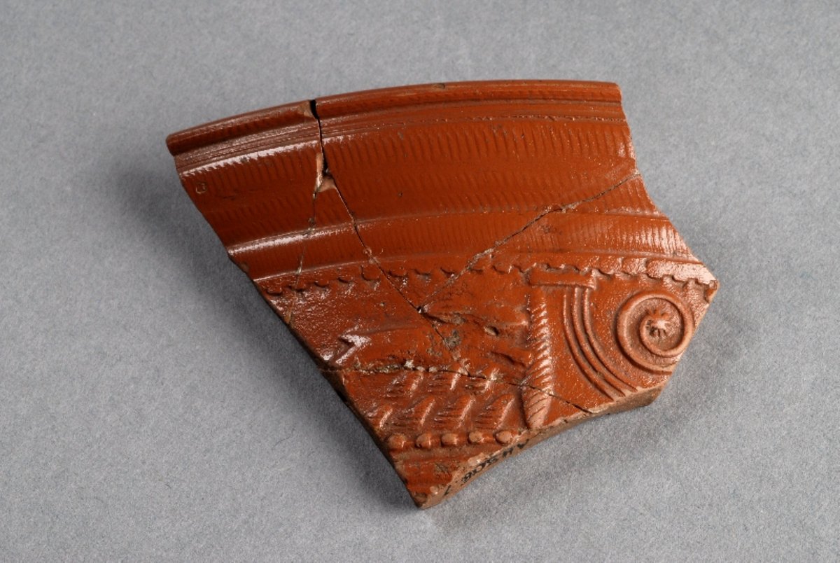 Reading Museum tweet media