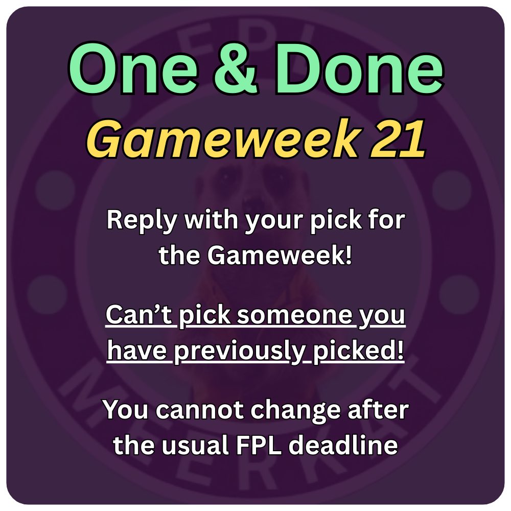 FPL Meerkat tweet media