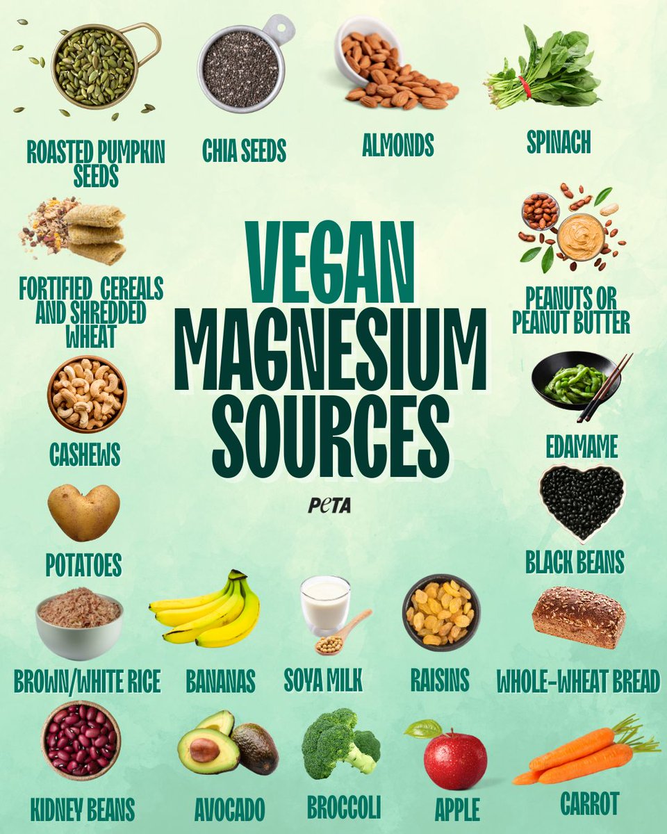PETAUK's tweet photo. Magnesium keeps muscles moving, nerves firing and energy steady and plants have it covered. Leafy greens, pumpkin seeds, whole grains, beans, peanut butter, and nuts all deliver magnesium without exploiting anyone. Yet another essential nutrient that thrives on a vegan plate. https://t.co/WhWo94mnCO