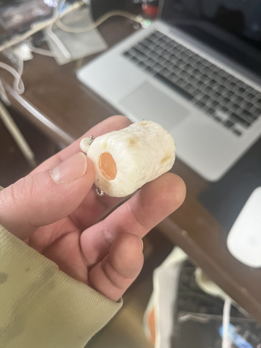 机で作業したくて周りのものを避けてたら小物をガチャガチャと入れてる箱を見つけたのですが中からこれが出て来てなぜ買ったのか過去の自分に問いかけたい。

チーズちくわのキーホルダー