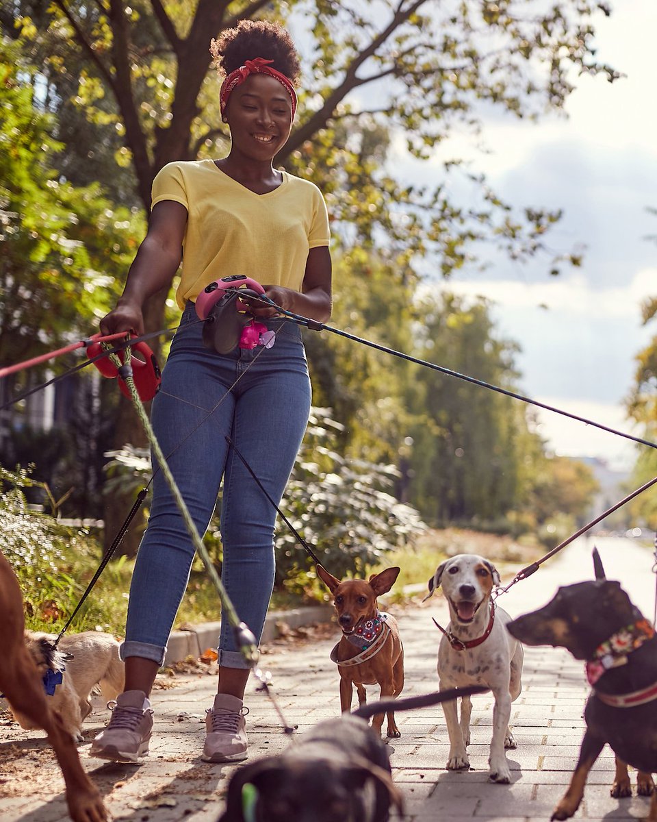 RunLoyal's tweet photo. January is Walk Your Pet Month, the perfect reminder that consistency matters—both in pet care and in your business. 🐾

#petsoftware #petcaremarketing #runloyal #businessgrowth #animals https://t.co/t7j9vLcGa1