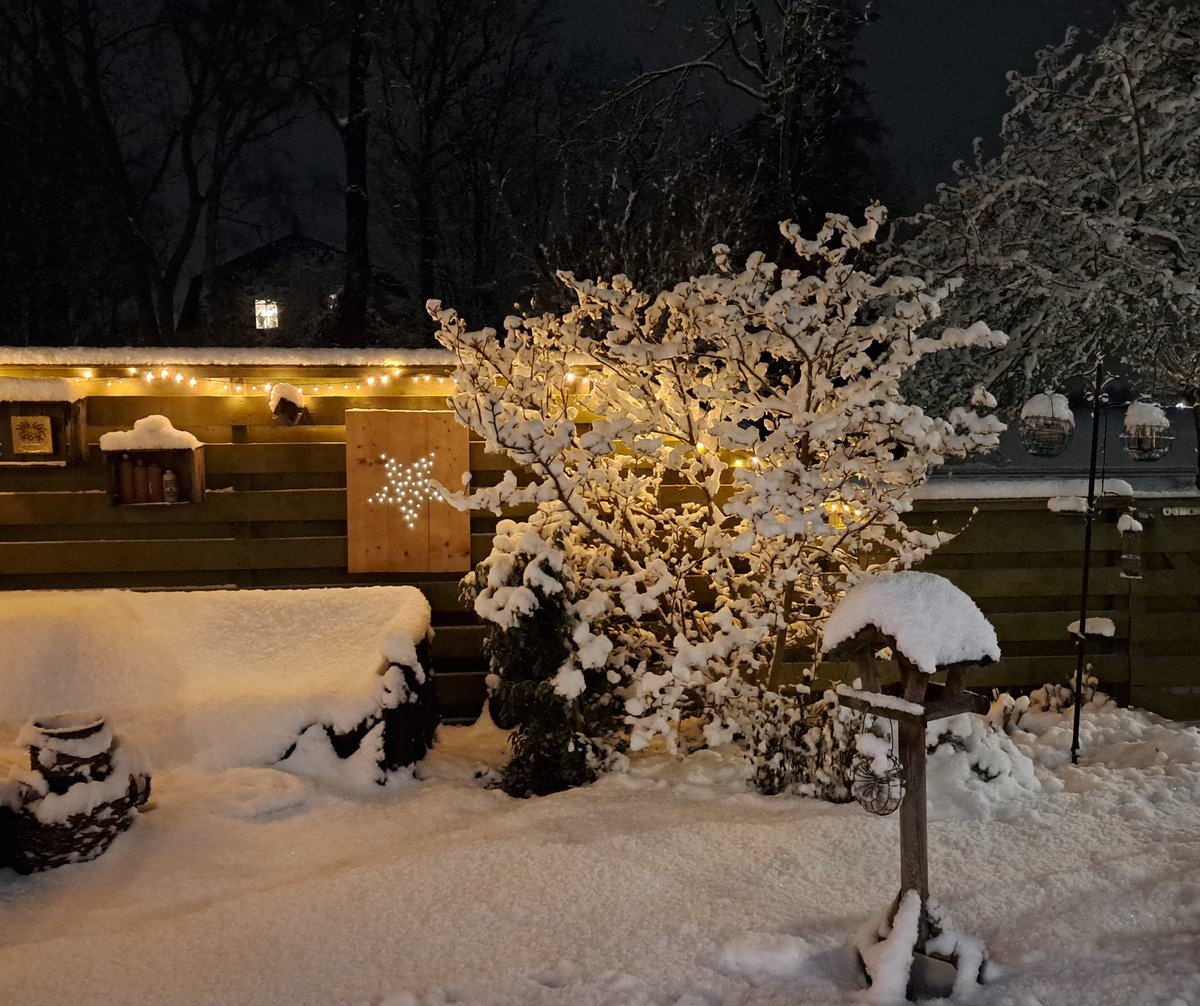 Wim Stam tweet media