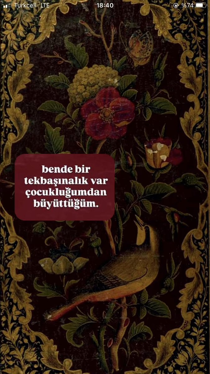 Bende bir tek başınalık var,
çocukluğumdan beri büyüttüğüm.