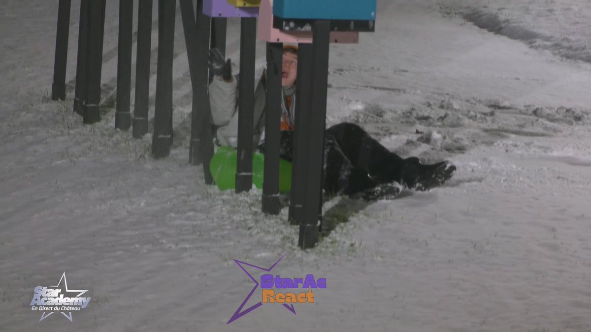 staracreact's tweet image. Pas Bastiaan qui a cassé la boite au lettre de Lenny 🤣
#StarAcademy #StarAcademyLeLive #StarAcademyLive