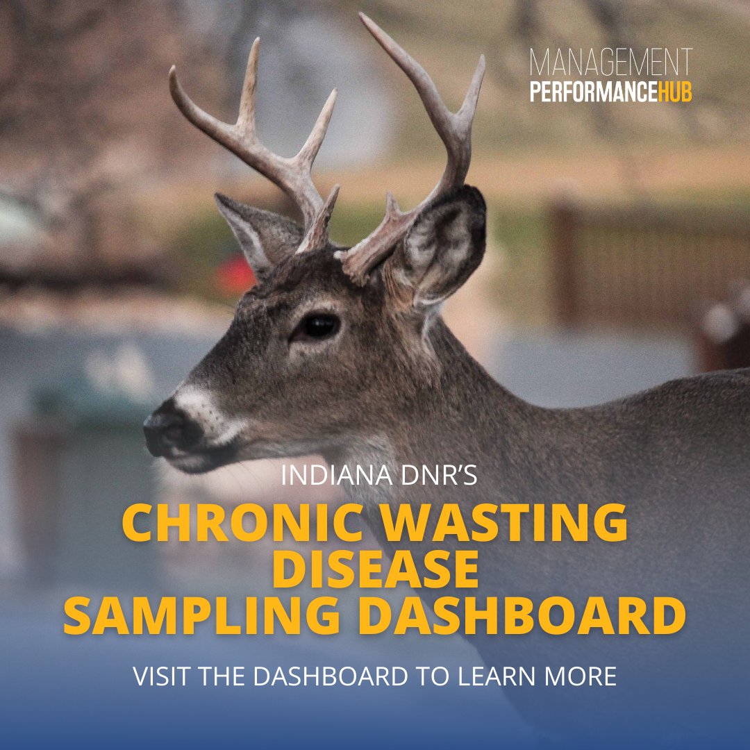 IndianaMPH tweet media