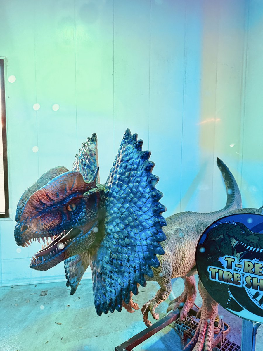 BryceAlmus's tweet photo. Sometimes I go through the car wash just to see the dinosaurs 😂
🦖🦕 https://t.co/fLTqzUsQuH