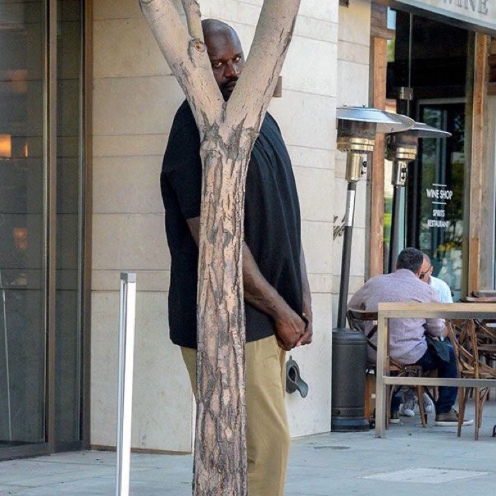 Friendzone237's tweet image. Arne Slot right now!!