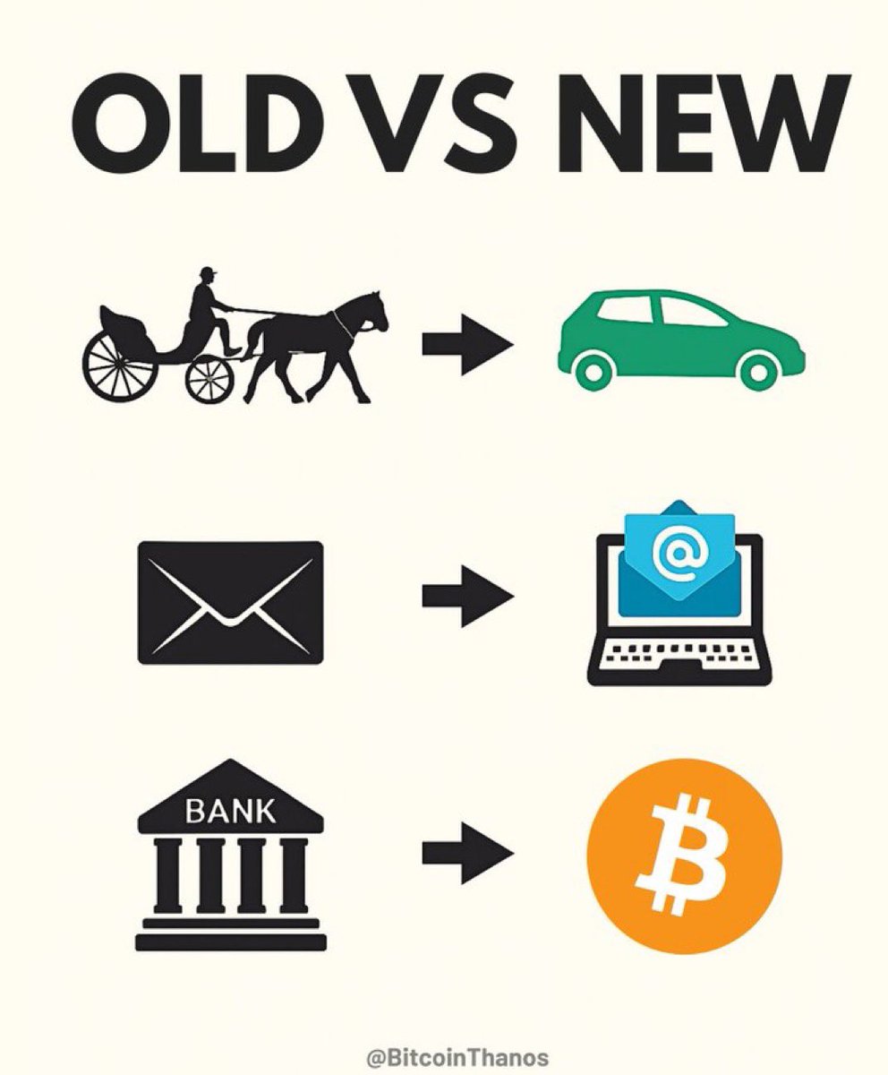 카르다노 에이다 김치코인 (83) 사진