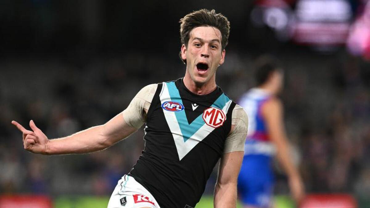 #since1969 🎹🍐🌻🇺🇦 tweet media