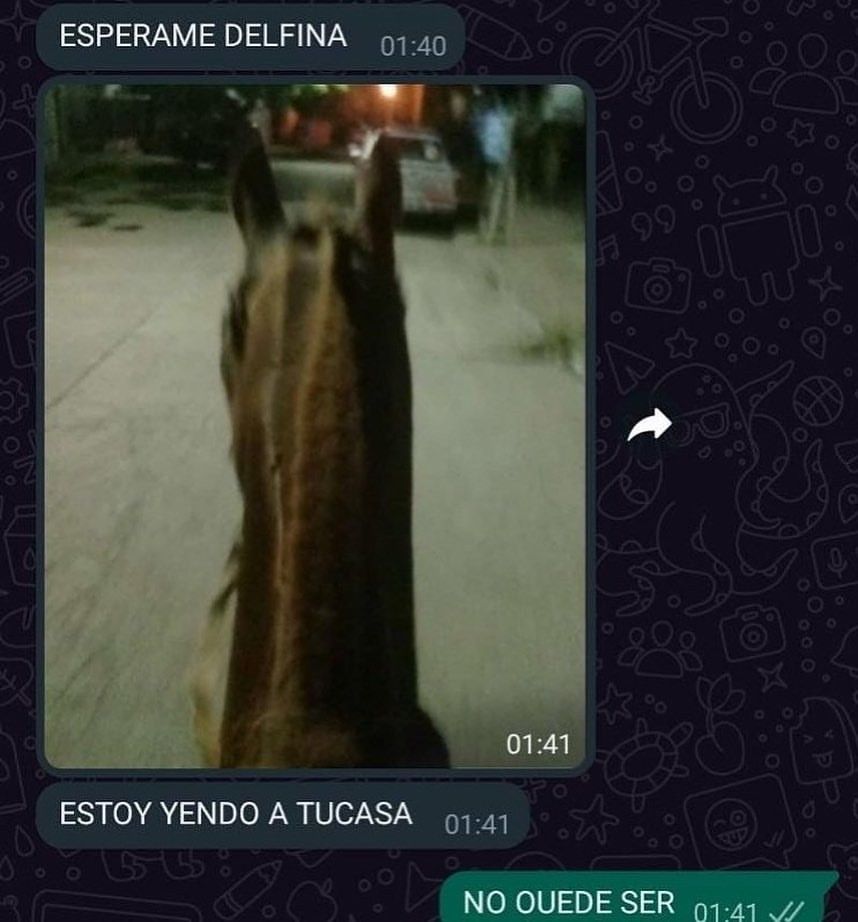 Cursed Images Argentina (@cursed_arg) on Twitter photo 