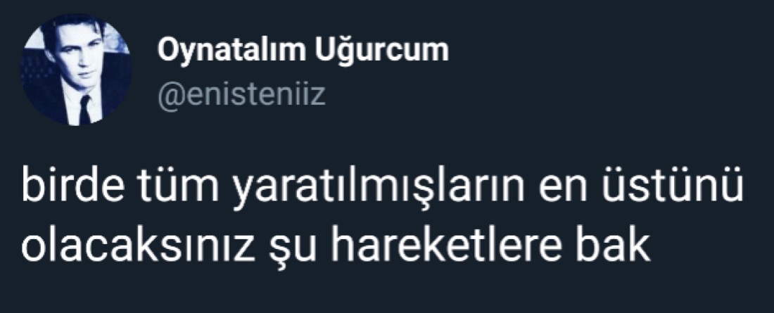 eskimeyen tivitler tweet media