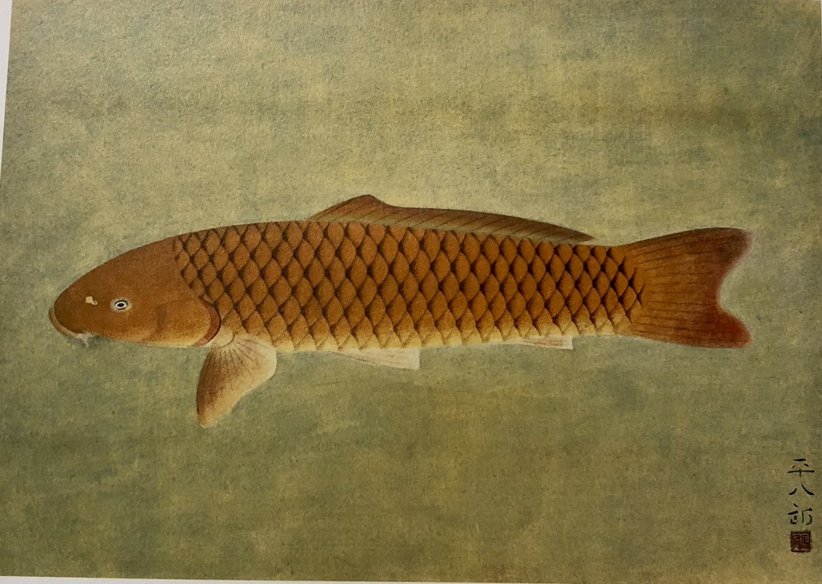 福田平八郎 鯉 1958