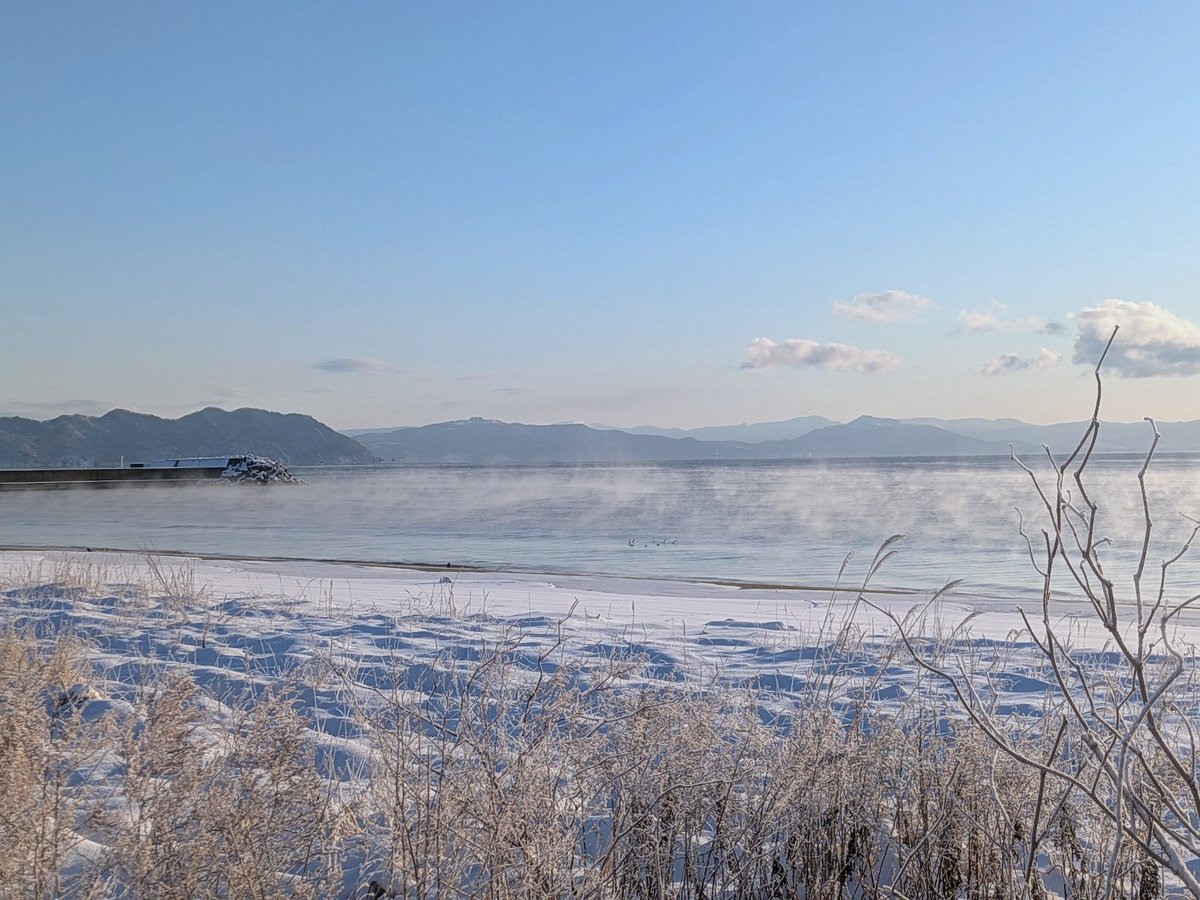 気嵐がきれい！カワアイサの群れがいます
 #正月ビッグデイ2026