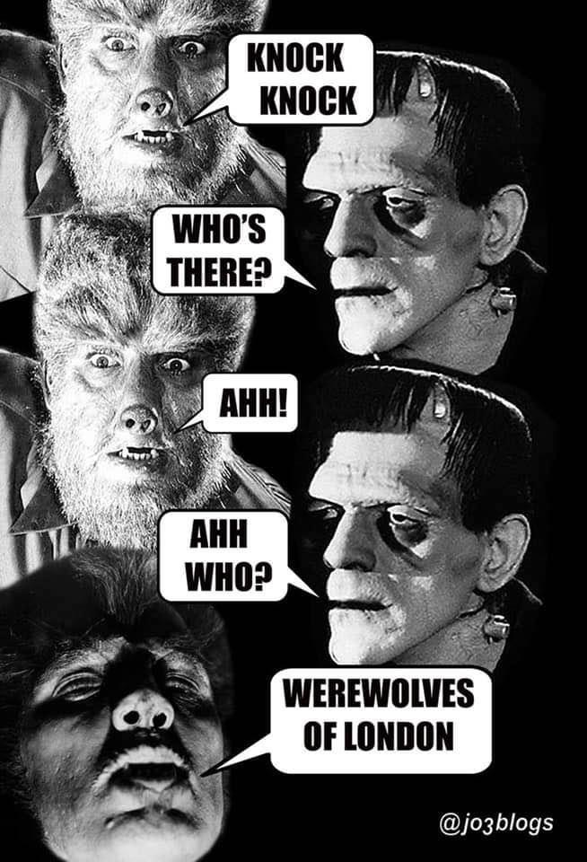 HorrorHammer1's tweet photo. 😂 https://t.co/tnL5hsx1d7