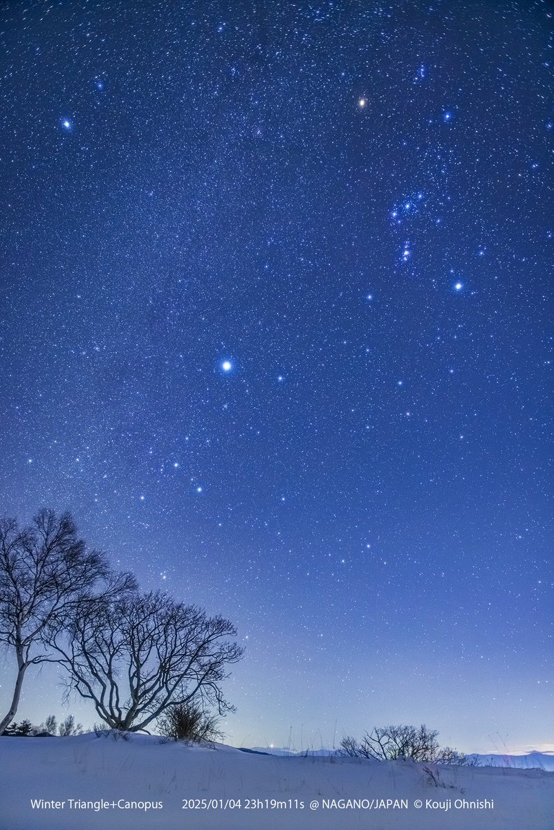 今日の星景写真 2026年1月6日 「冬の大三角からカノープス」 撮影:2025