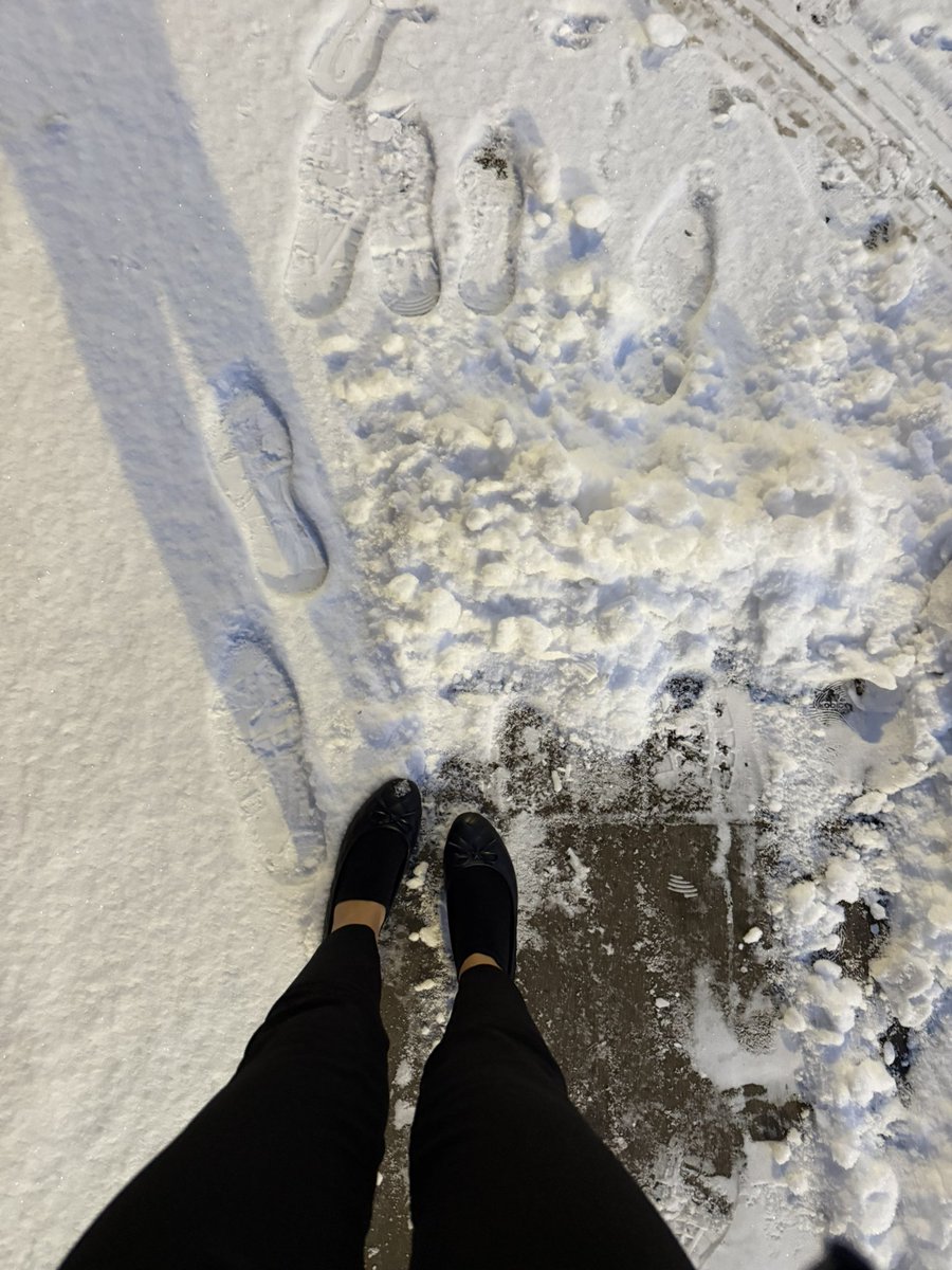 emonthenet's tweet photo. me and my ballet flats against the world ❄️ https://t.co/Ot6fK6qXVd