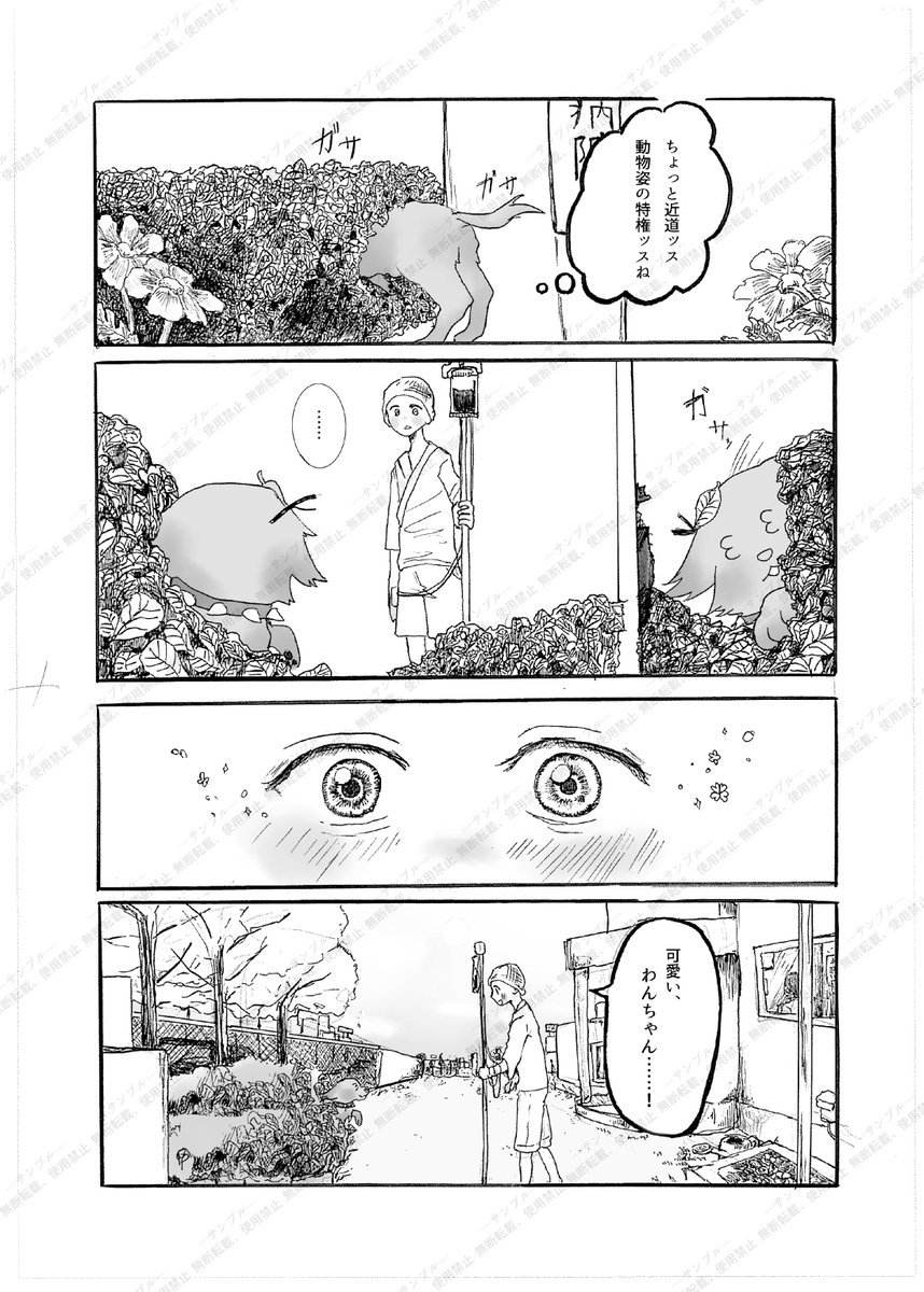 フィルソで頒布予定の新刊の表紙とサンプル2ページです

沢山の🐺を描きました！
初同人誌のため、何卒暖かい目で見てください🙏