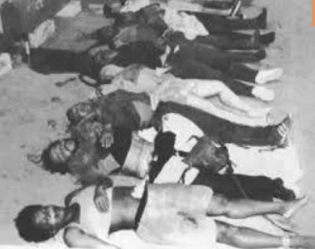 <a href="/ada_lluch/">Ada Lluch</a> Get.
Panama
Out of
Your
Mouth!