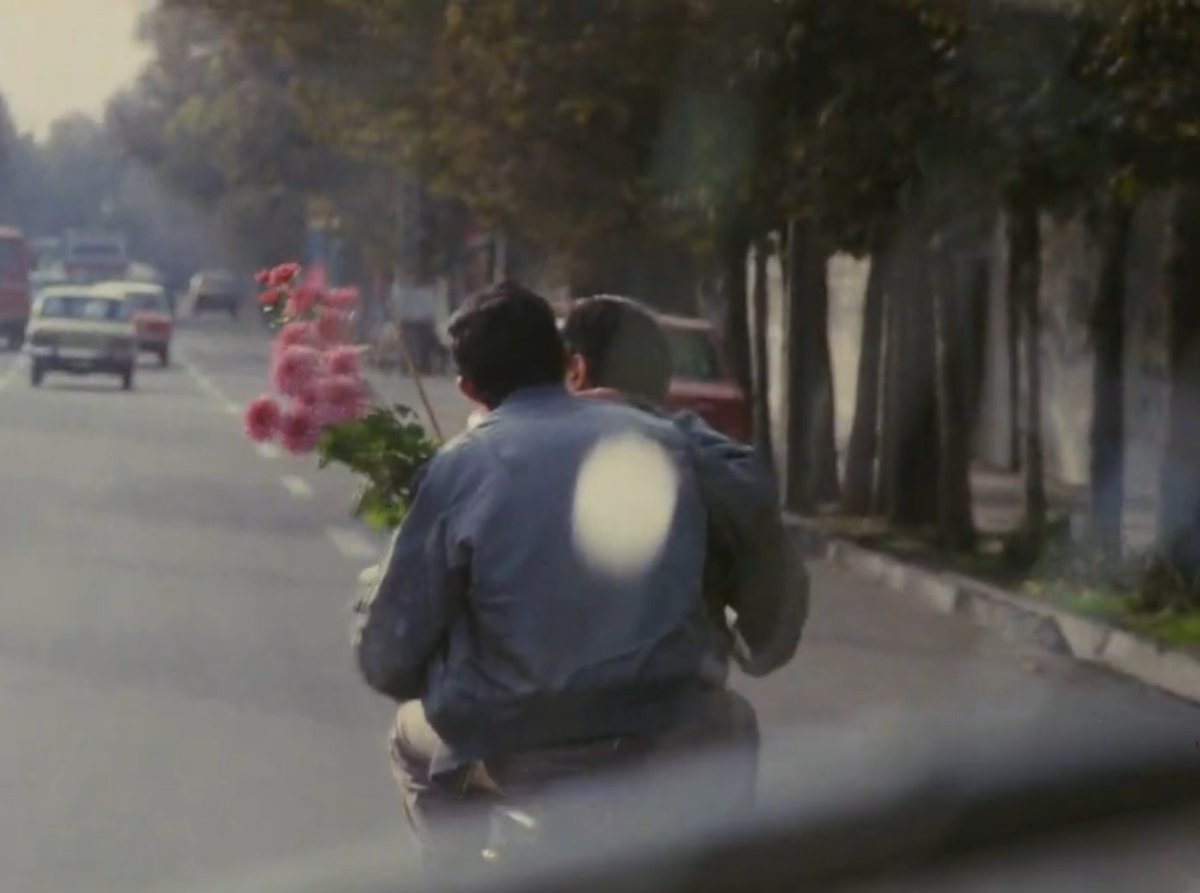 deviisway's tweet image. oi its been a while but ive just experienced quite possibly the most genius, heartfelt piece of media that i have ever seen. a love story to not just film but art itself