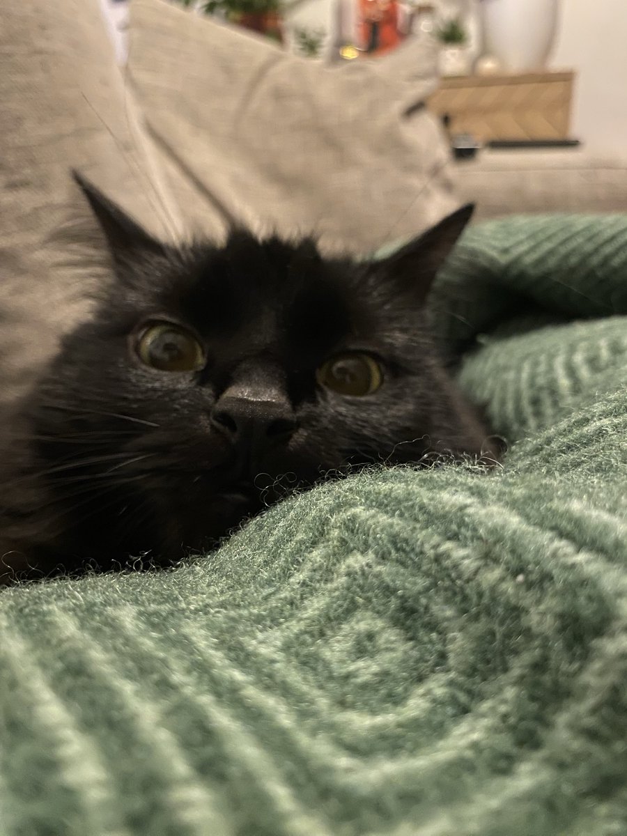 e poi c’è sempre lui che con questa faccia da coglione ci ha conquistato il cuore